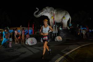 BIB: 
                            <button type="button" onclick="openModal(26552268)" class="btn btn-primary btn-sm float-right btn-popup" data-toggle="modal" data-target=".modal-high-quality">
                        <i class="fas fa-shopping-cart"></i> Add to Cart
                    </button>
                                            <button type="button" onclick="isThisMe(26552268, true)" class="btn btn-success btn-sm float-right btn-popup btn-isme hidden" data-toggle="tooltip" data-placement="bottom" title="นี่คือรูปของคุณใช่ไหม คลิกที่นี่เพื่อเอาเข้าอัลบั้ม">
                        <i class="fas fa-plus"></i> Add to album
                    </button>
                    <button type="button" onclick="isThisMe(26552268, false)" class="btn btn-warning btn-sm float-right btn-popup btn-isnotme hidden">
                        <i class="fas fa-ban"></i> Remove from album
                    </button>